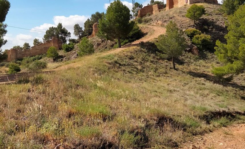 Castillo Mayor de Daroca, Spain